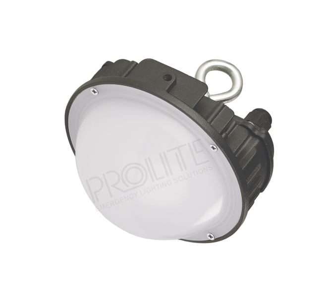 PEL LED NE/BUKHEAD (ROUND) 6W OPERATED ON 110V DC